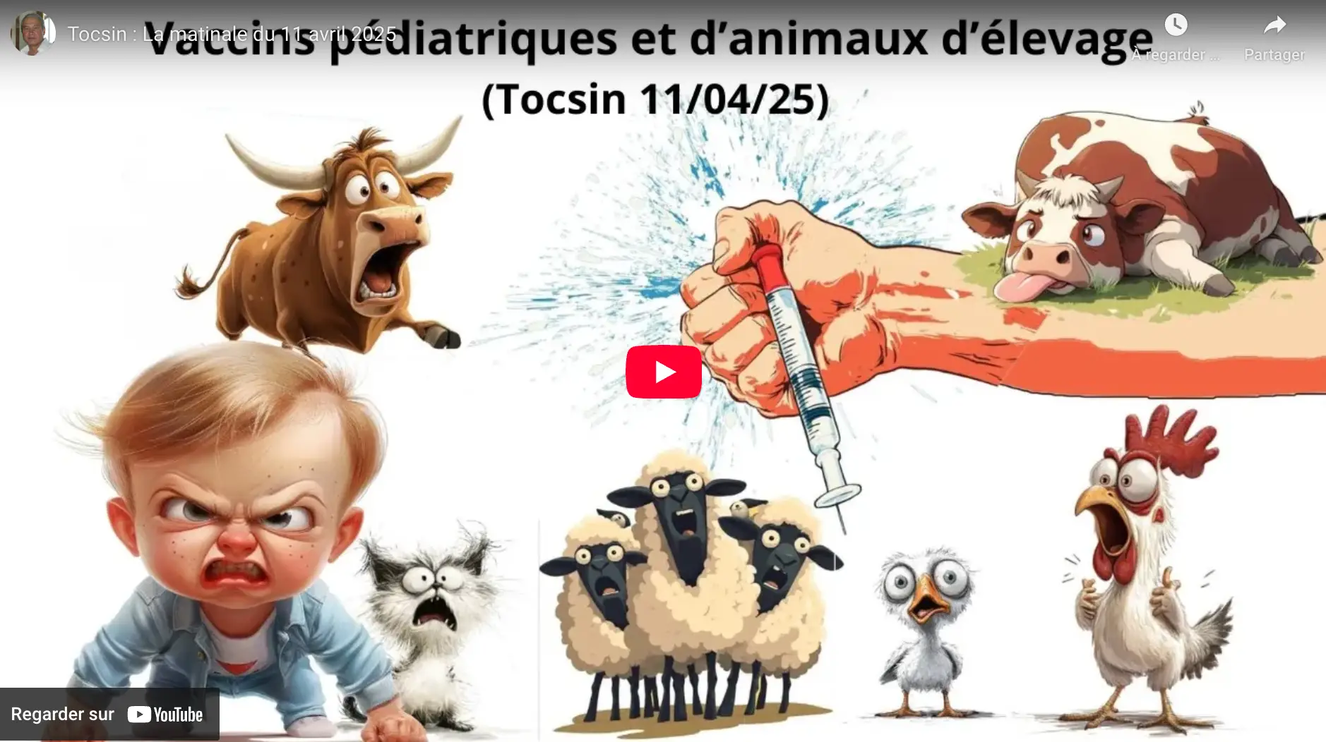 Vaccins à ARN messager auto-amplifiants