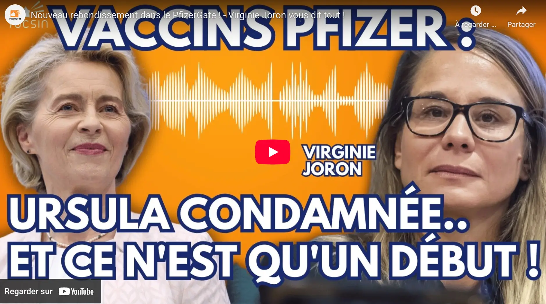 Affaire Pfizer Papers