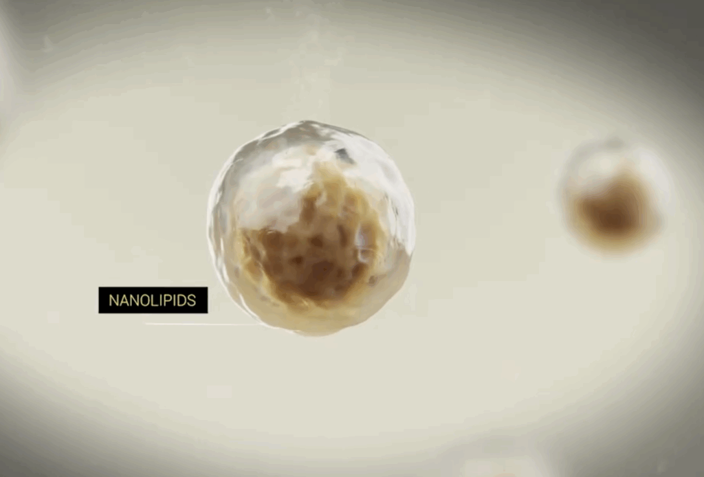 Une nanoparticule lipidique ARNm du film "Inside the mRNA vaccine"