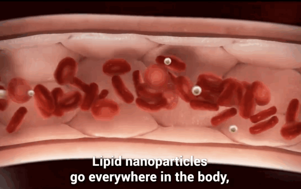 Images d'animation du Film "Inside mRNA vaccines"