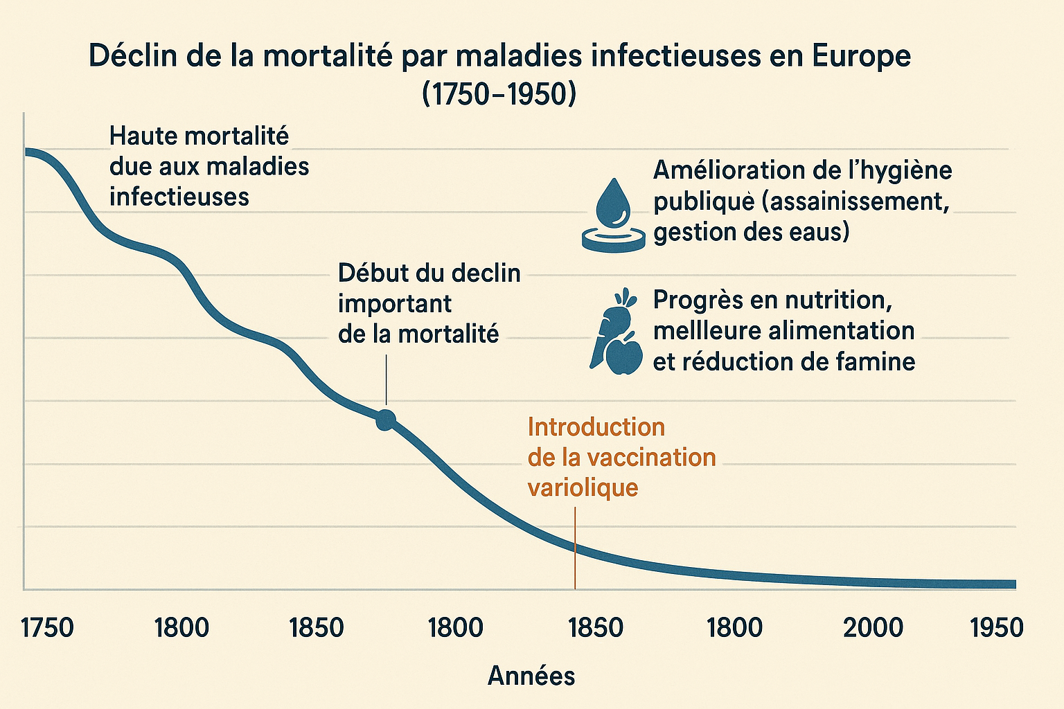 La chute des maladies: d’abord le fruit de meilleures conditions de vie