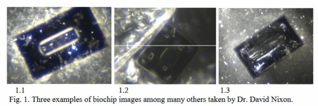 Biochips dans vaccins covid Part 1 Figure 1