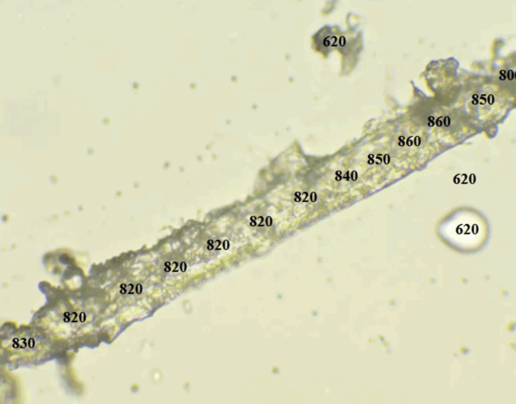 Biochips dans vaccins covid Part 2 Figure 2