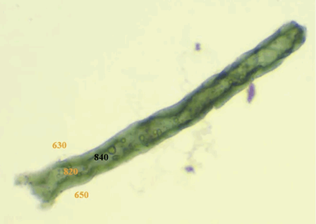 Biochips dans vaccins covid Part 2 Figure 3