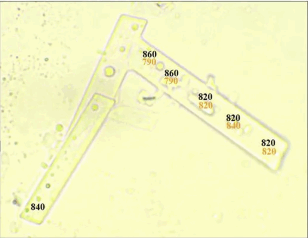 Biochips dans vaccins covid Part 2 Figure 4