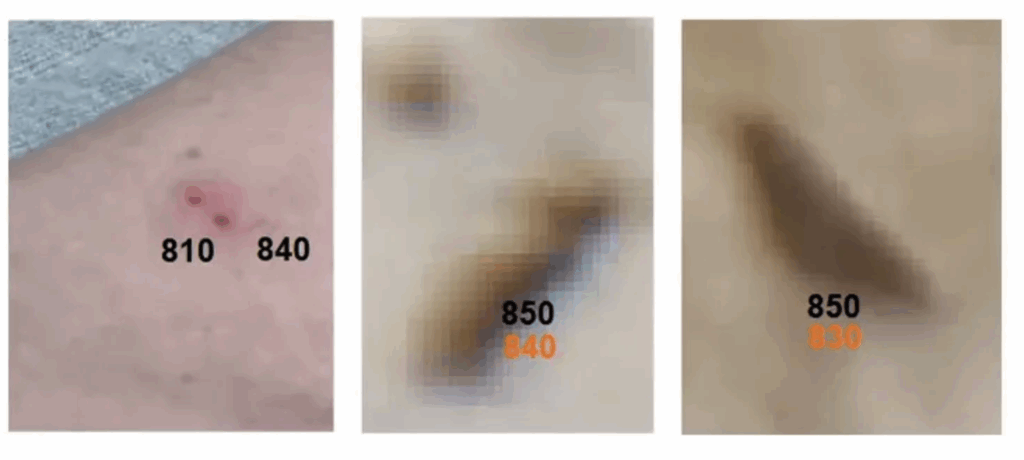 Biochips dans vaccins covid Part 3 Figure 1