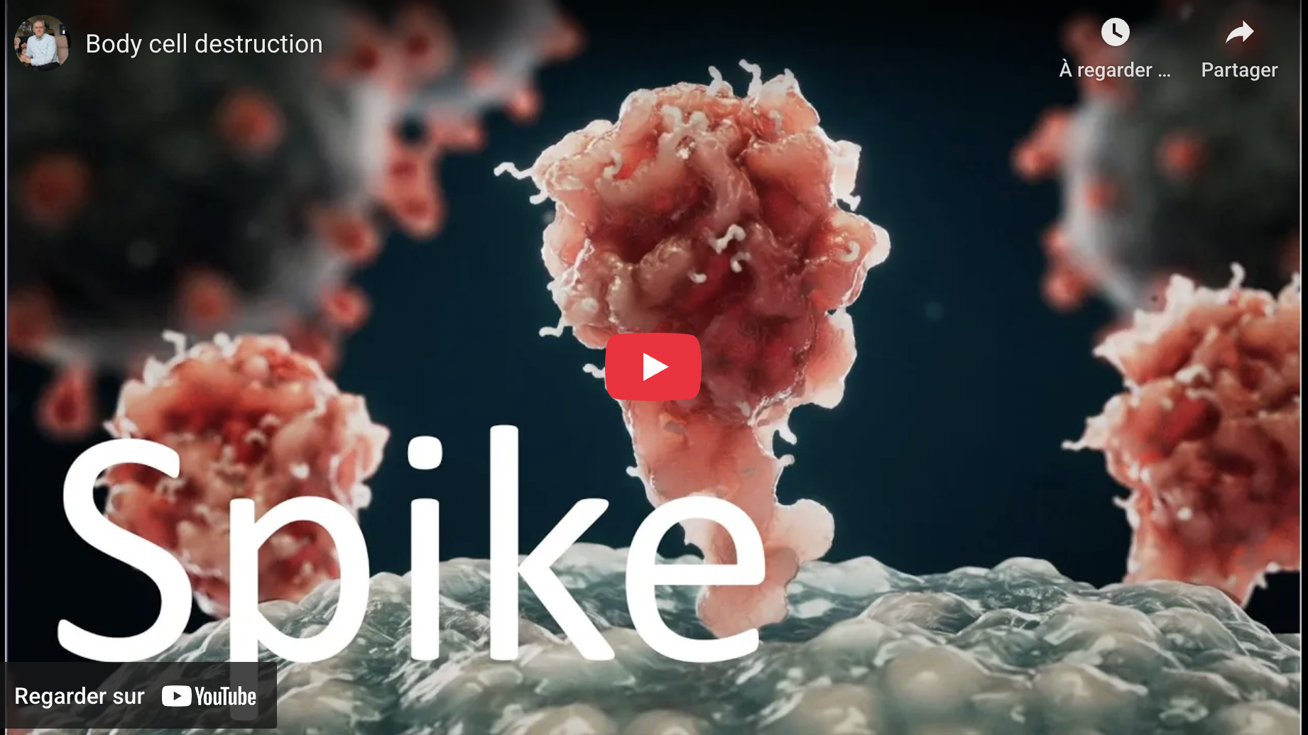 Protéine Spike et vaccin ARN